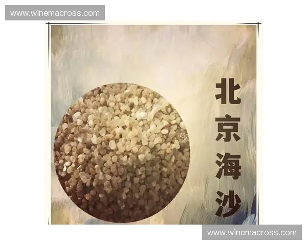 海浪变化对海洋生态系统的影响及其预测方法研究