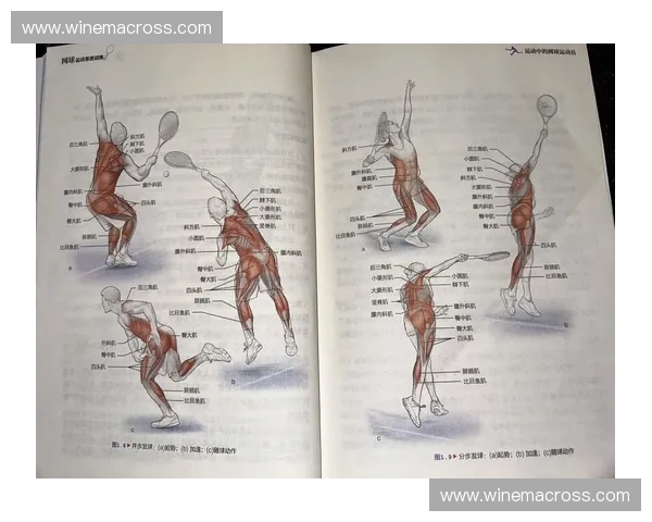 发球技巧全面解析与实战应用提升训练方法研究