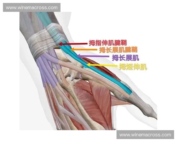 科学化运动康复方案制定与个体化康复效果提升研究